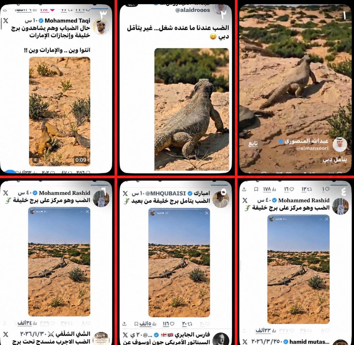 فليت tweet media