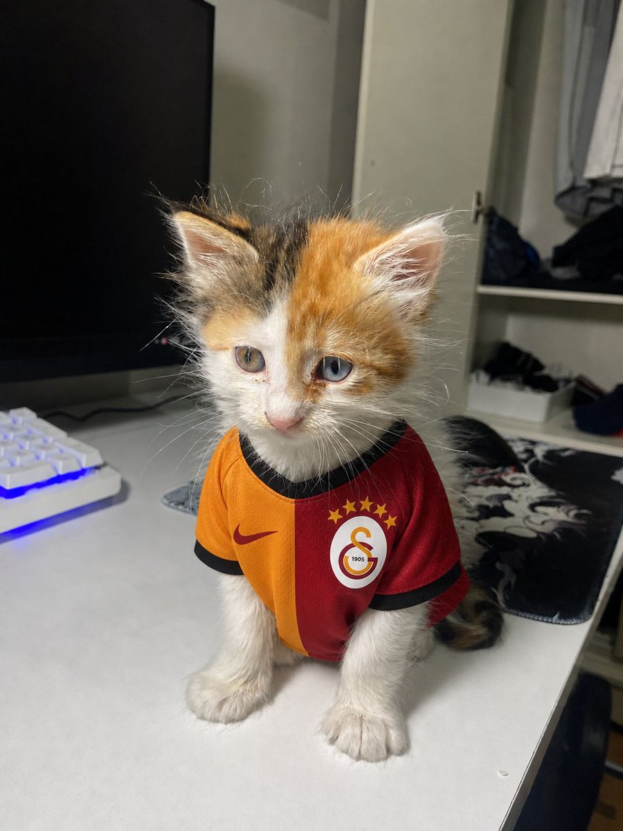imzasız tweet media