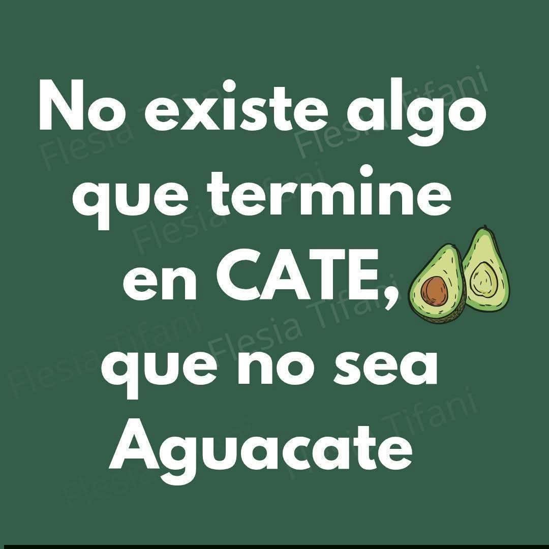 🏛 Filosofía Estoica 🏛 tweet media