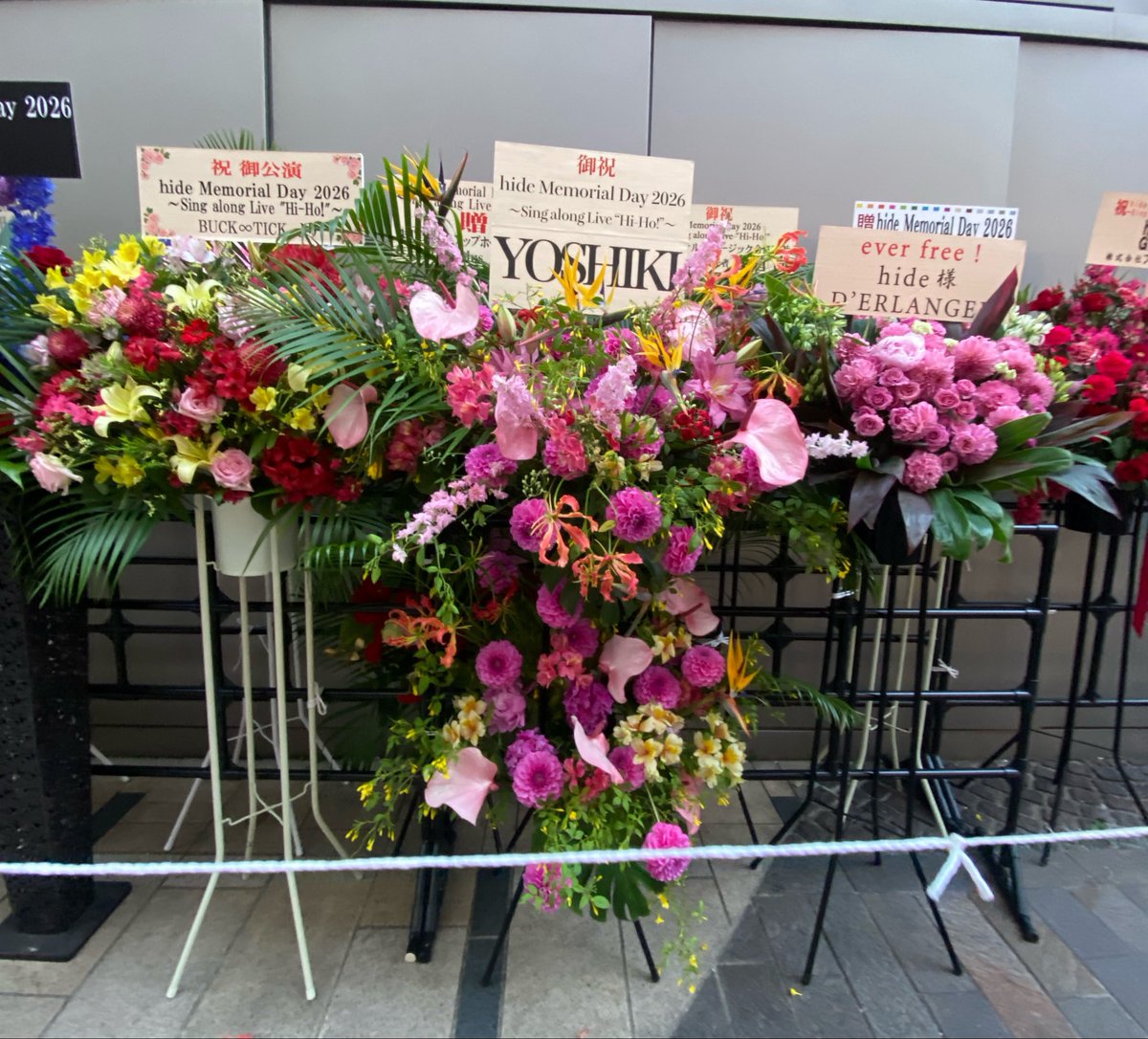 カヲル tweet media