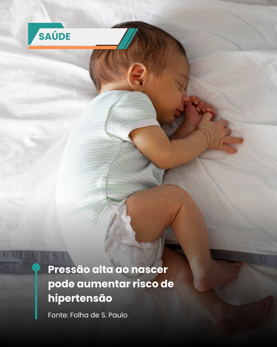 Feed Do Brasil tweet media