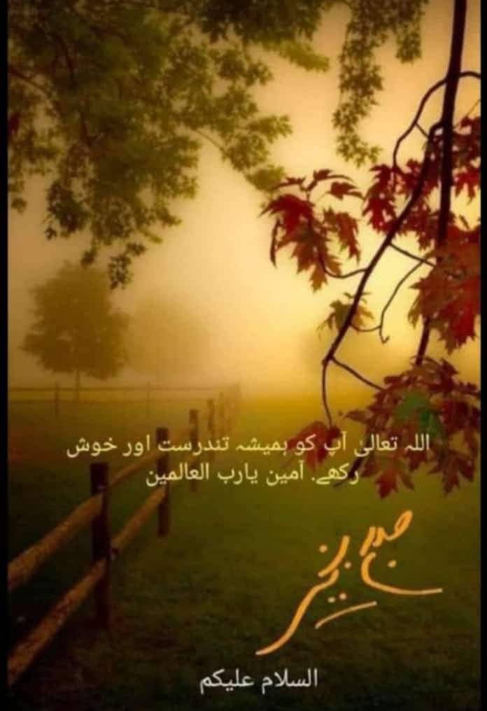 Faiza Khanmᵀᵉᵃᵐᴸᴸᴾ tweet media