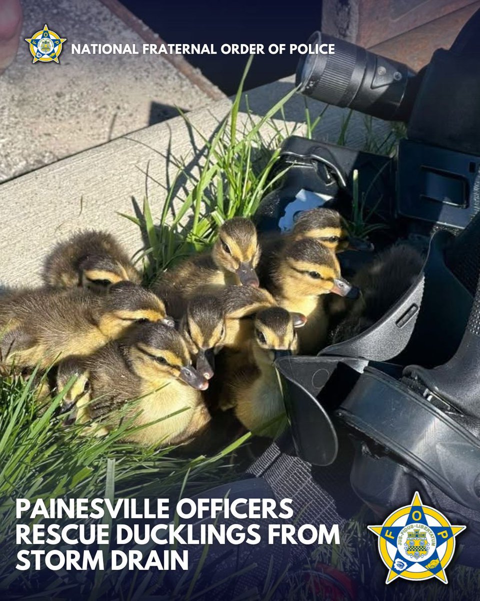 National Fraternal Order of Police (FOP) tweet media