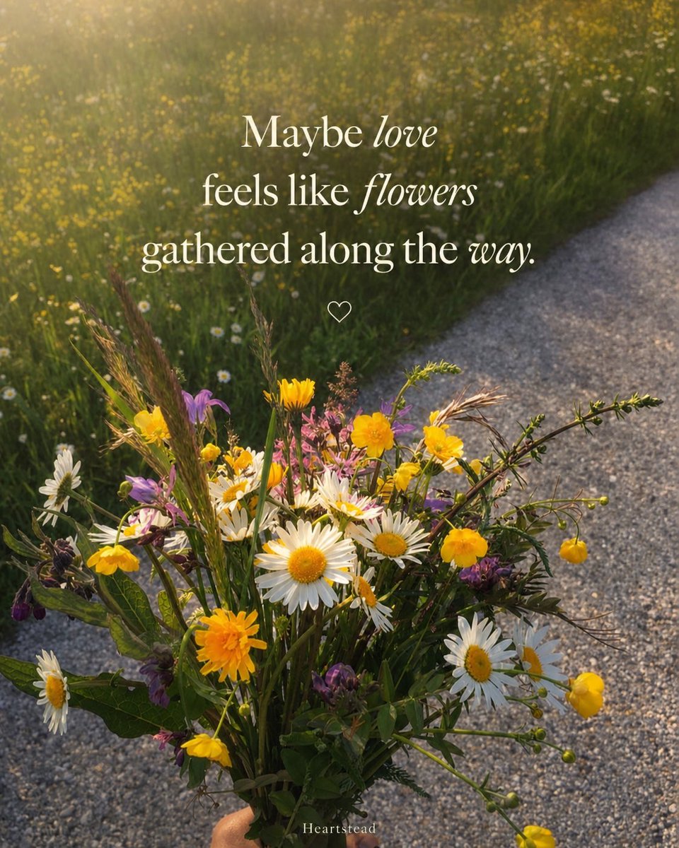 JoinHeartstead's tweet photo. Maybe love feels like flowers gathered along the way.
Gentle, unexpected, and beautiful enough to make you stop and smile. 💐🤍

🏞️ @azr_a__ 

#Heartstead #MeaningfulConnections #SeriousDating #ModernDating #LoveWithIntention #RelationshipGoals https://t.co/FoDTN0nco8