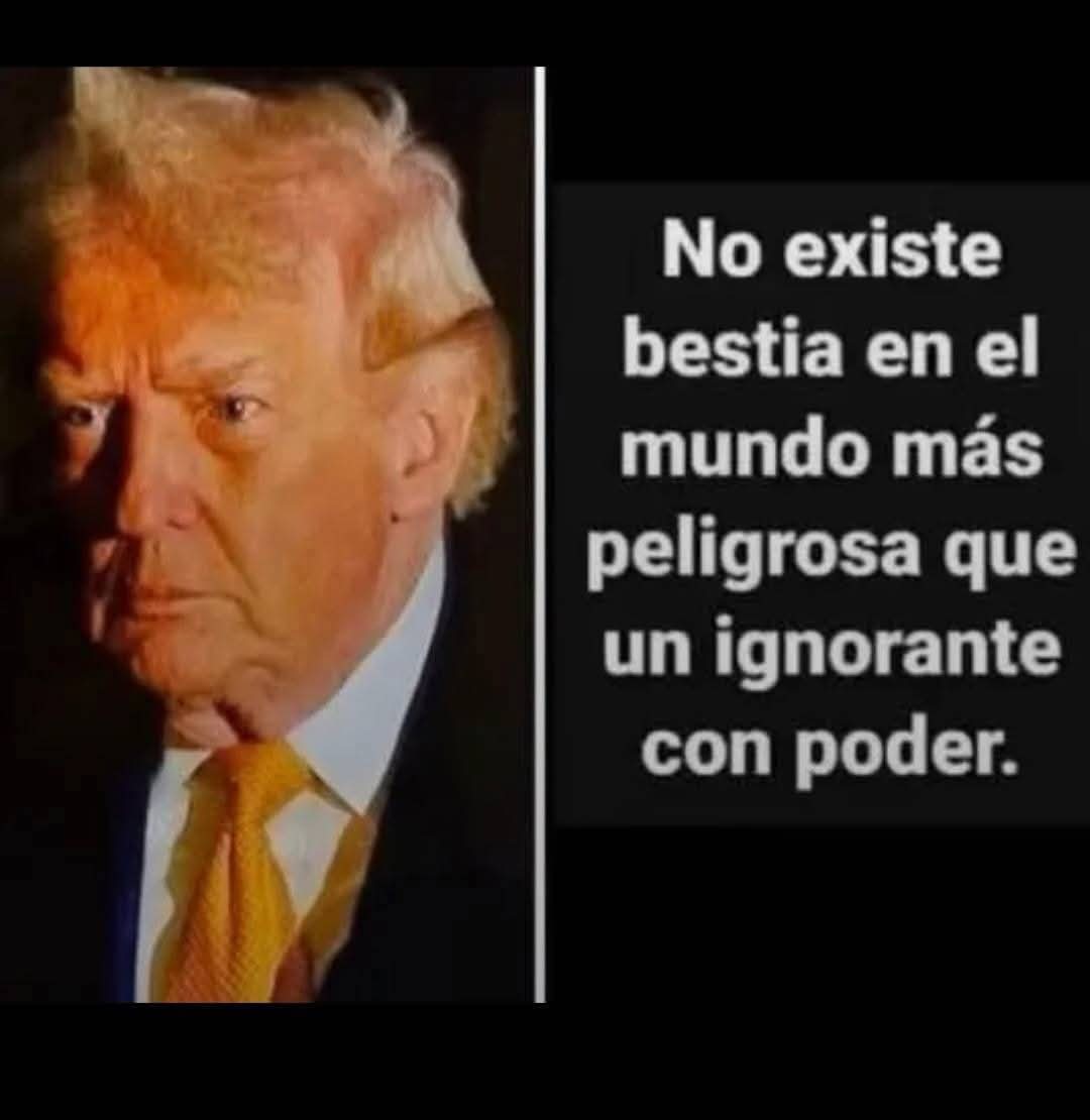 Anlleine tweet media