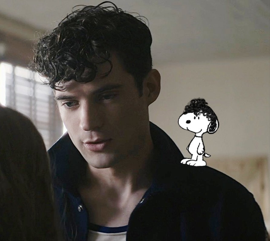 david & snoopy tweet media