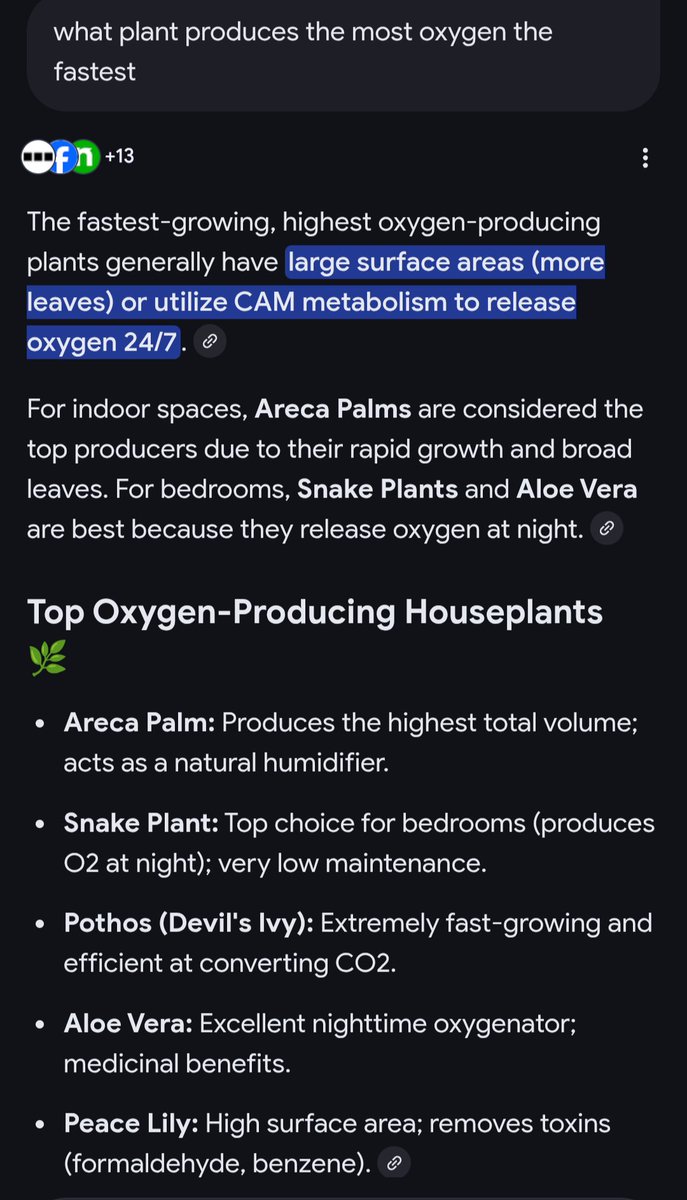 saltynutbutter's tweet photo. @levelsio There's this amazing tech called biology that's solved this. 

It literally eats CO2, but it doesn't fit into carry on luggage. https://t.co/jsFm9ROHiL