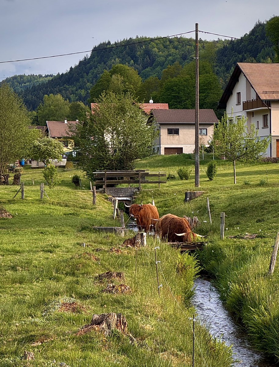 gezenhikayeci's tweet photo. Rastgele dönülen yolun çıkardığı yer, kaybolmanın en güzel hali :) https://t.co/htwqec4lX7