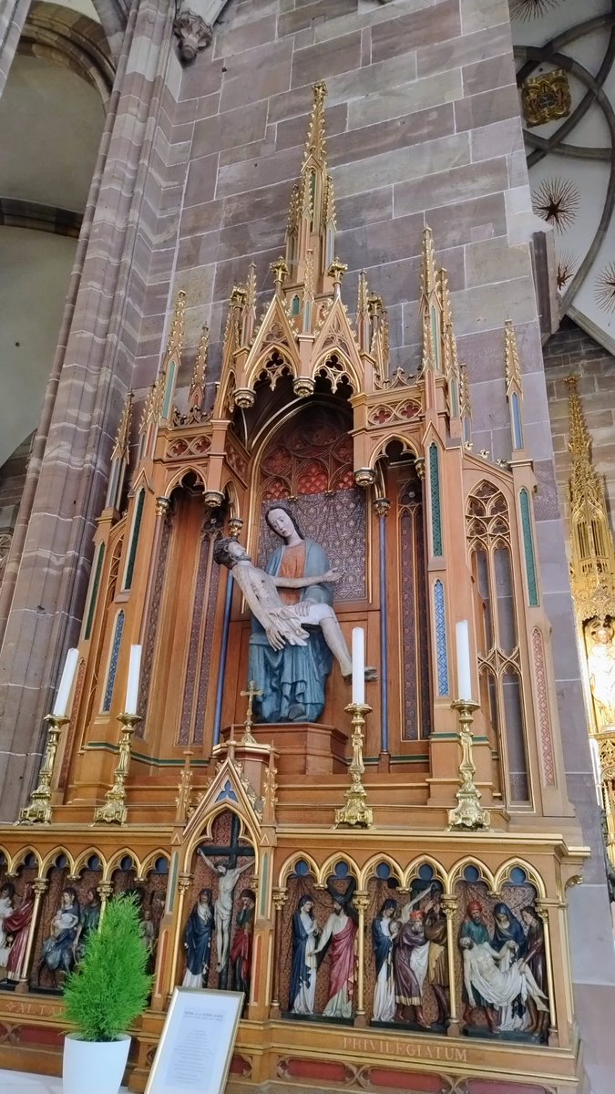 Concepción Hernández Hernández tweet media