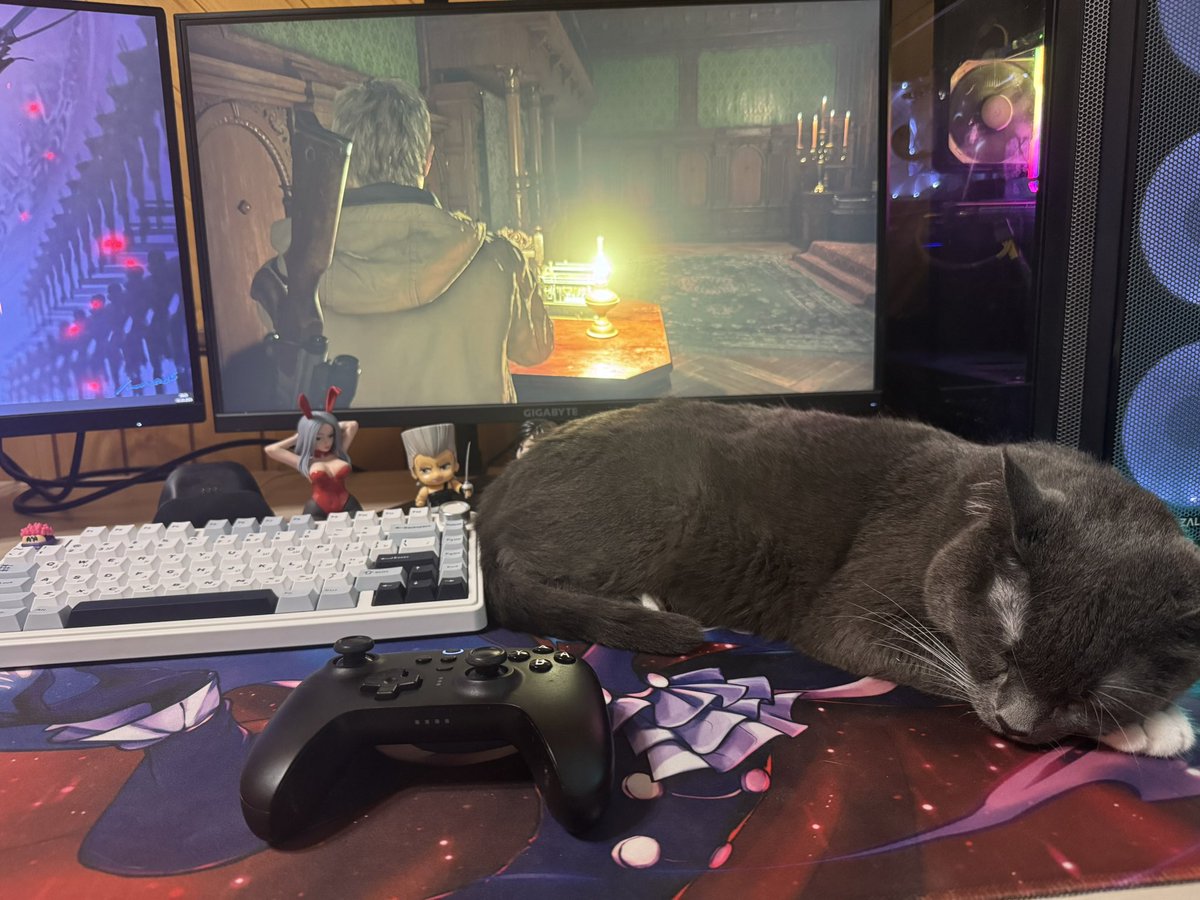 Animanochka Vg tweet media