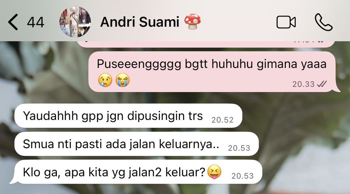 Devania Angela tweet media