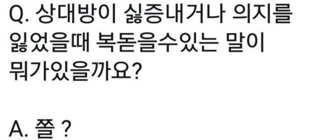 버들양 tweet media