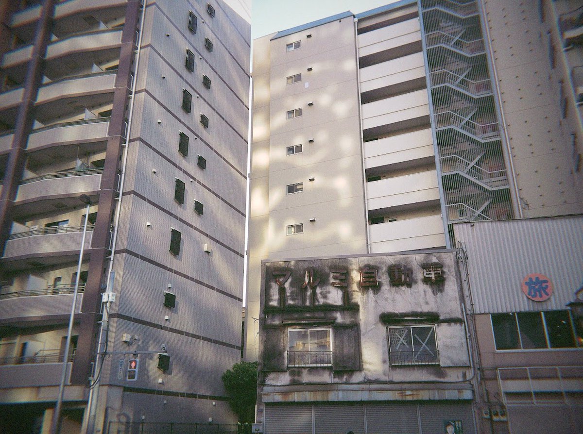 negibou_photo's tweet image. #Flashback
20260501