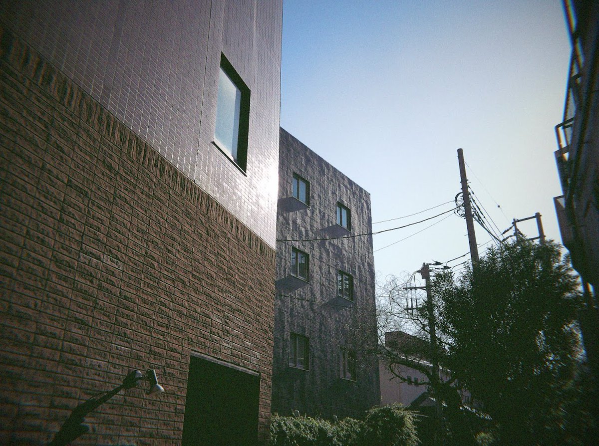 negibou_photo's tweet image. #Flashback
20260501