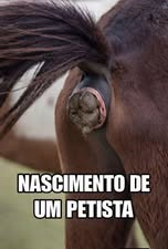 Adelmao2segundaconta tweet media