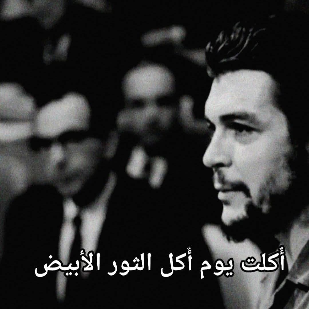 جيفارا عربستان 🏴‍☠️ tweet media