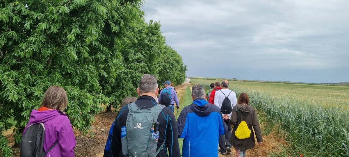 faralavedra's tweet photo. Excel·lent iniciativa la caminada de #poblesurgell26 avui, Verdú-poblat ibèric dels Estinclells.
@TurismeVerdu @xercavinsverdu https://t.co/9VltXSOmT2