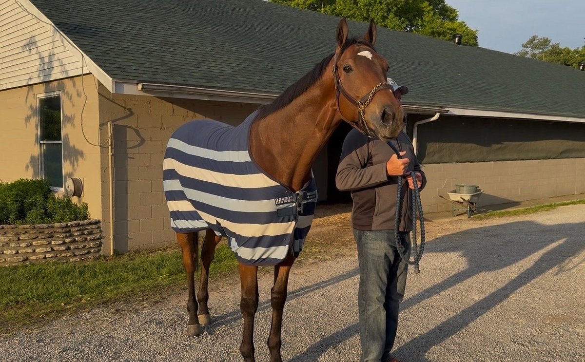 PA_HBPA's tweet photo. Today at 6:57 PM, the entire country will be holding its breath for the start of the 152nd @kentuckyderby , where 20 of the best three-year-olds will chase history.

But two races before that, at 4:50 PM, we’ll be glued to the screen watching one of our own chase a little history too.

Today in Race 10 at @churchilldowns , @hollywoodpnrc based Point Dume will break from the 11 hole in the 91st running of the Grade 1 Churchill Downs Stakes, running for a piece of the $1,000,000 purse.

Point Dume is a 5-year-old Into Mischief gelding, owned by @bushracing , trained by Penn National-based trainer Timothy Kreiser, with @edwingonzalez____ in the saddle.

He comes into today 3-for-3 on the year, with earnings of $345,000, including a win in the Grade 2 Carter Stakes presented by @nyra.bets at Aqueduct on April 4.

We’re proud to see one of our own on a stage like this.

Let’s go get one, Point Dume.

While we wait enjoy a photo drop of Point Dume enjoying his time in Kentucky, fresh carrots included! 🥕 🥕 🥕
#kentuckyderby #horses #Pennsylvania #thoroughbred #jockey