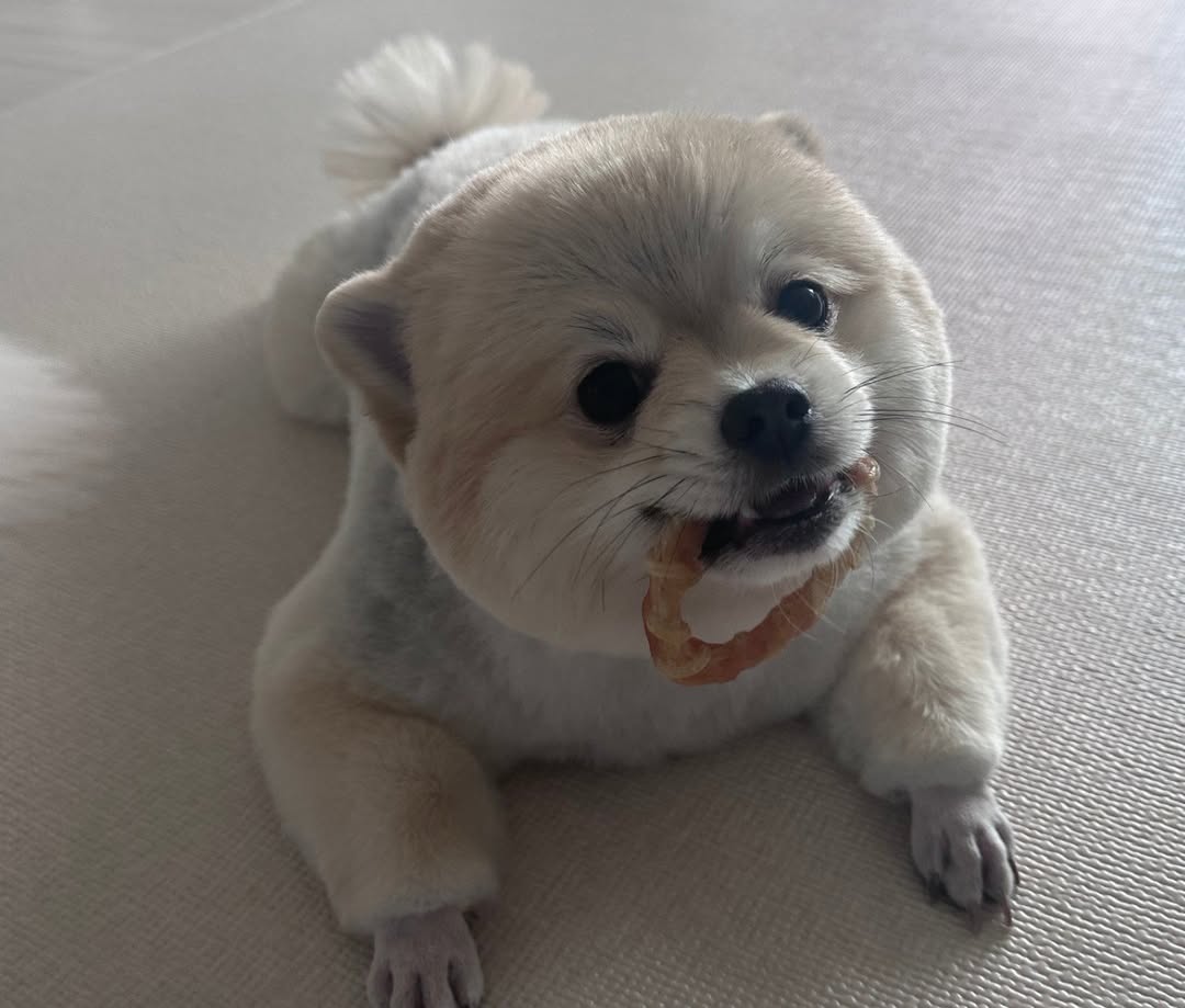 미친!!!!!!!!!!!!!!!!!