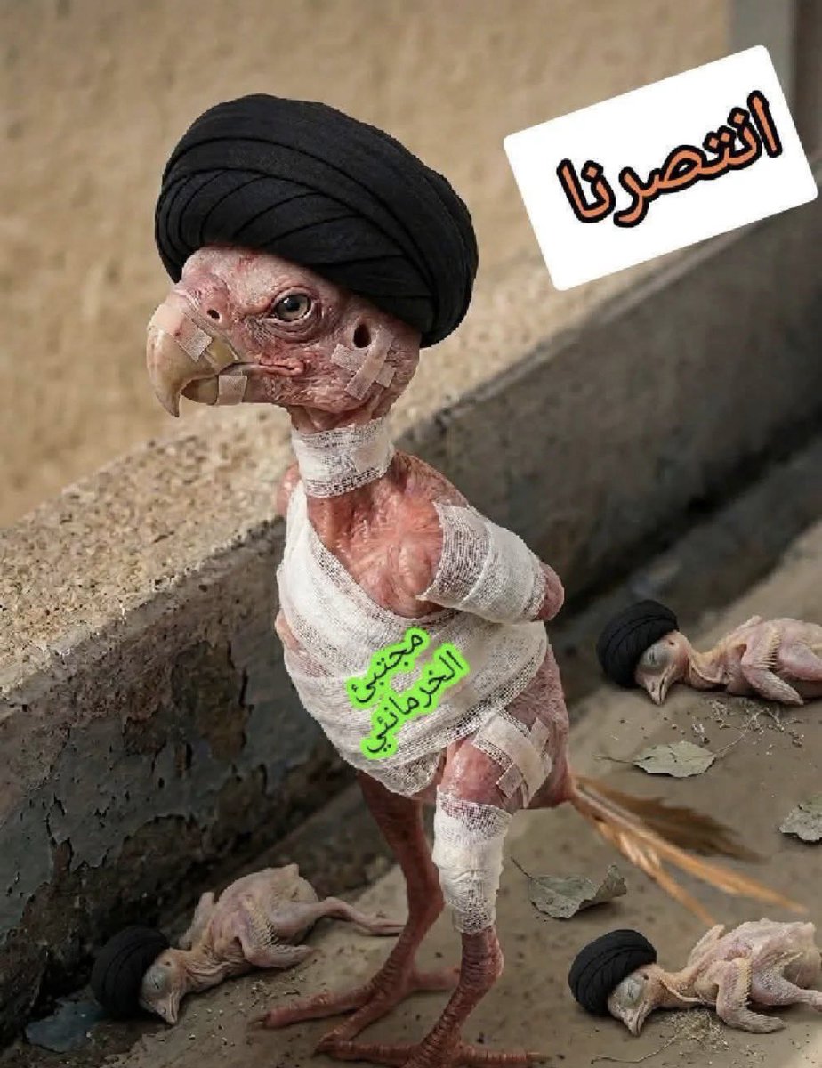 رمادية tweet media