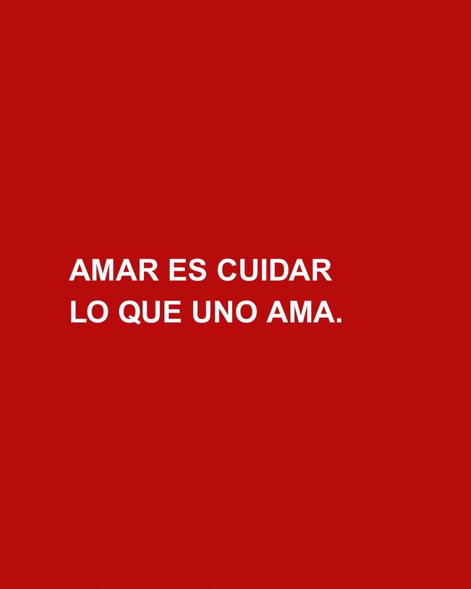 Camila Nobile tweet media