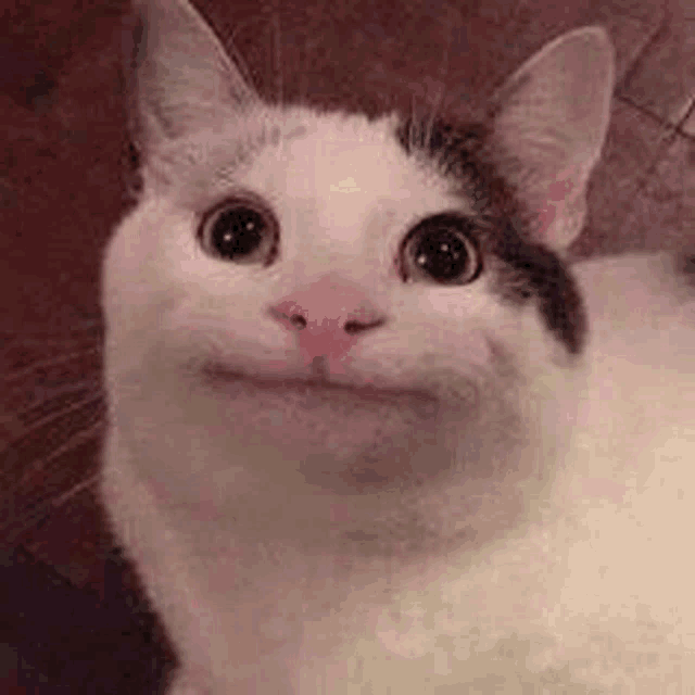 𝐓𝐰𝐢𝐧𝐤𝐥𝐲 ⋆˚꩜。.✦ ݁˖ tweet media