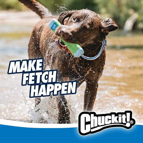 LordOfDiscounts's tweet photo. Chuckit! Amphibious Bumper Fetch Stick Toy for Dogs - Floats in Water - Interactive Dog Toys to Keep Them Busy - Tough Rubber, Nylon, and Foam - Non-Slip Rope Handle - Size Medium - Assorted Colors now $4.68 via Amazon

⬇️ 69% Price Drop

🔗 - https://t.co/hVdPrZ6oFw https://t.co/MrZ0iAC5ZR