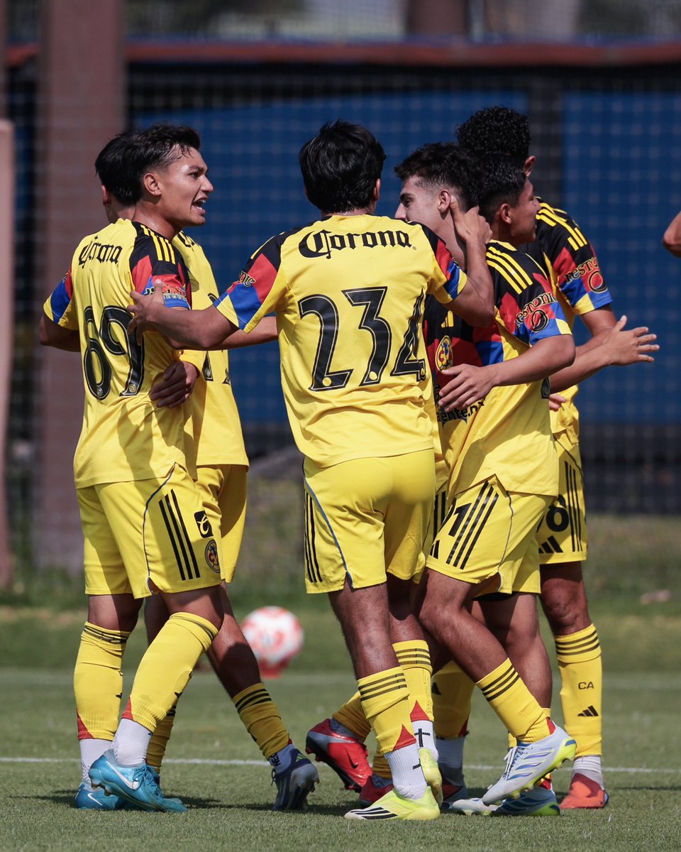 Club América Fuerzas Básicas tweet media