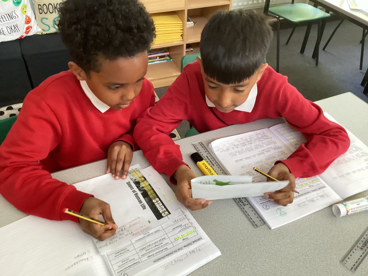 Anglesey Primary tweet media
