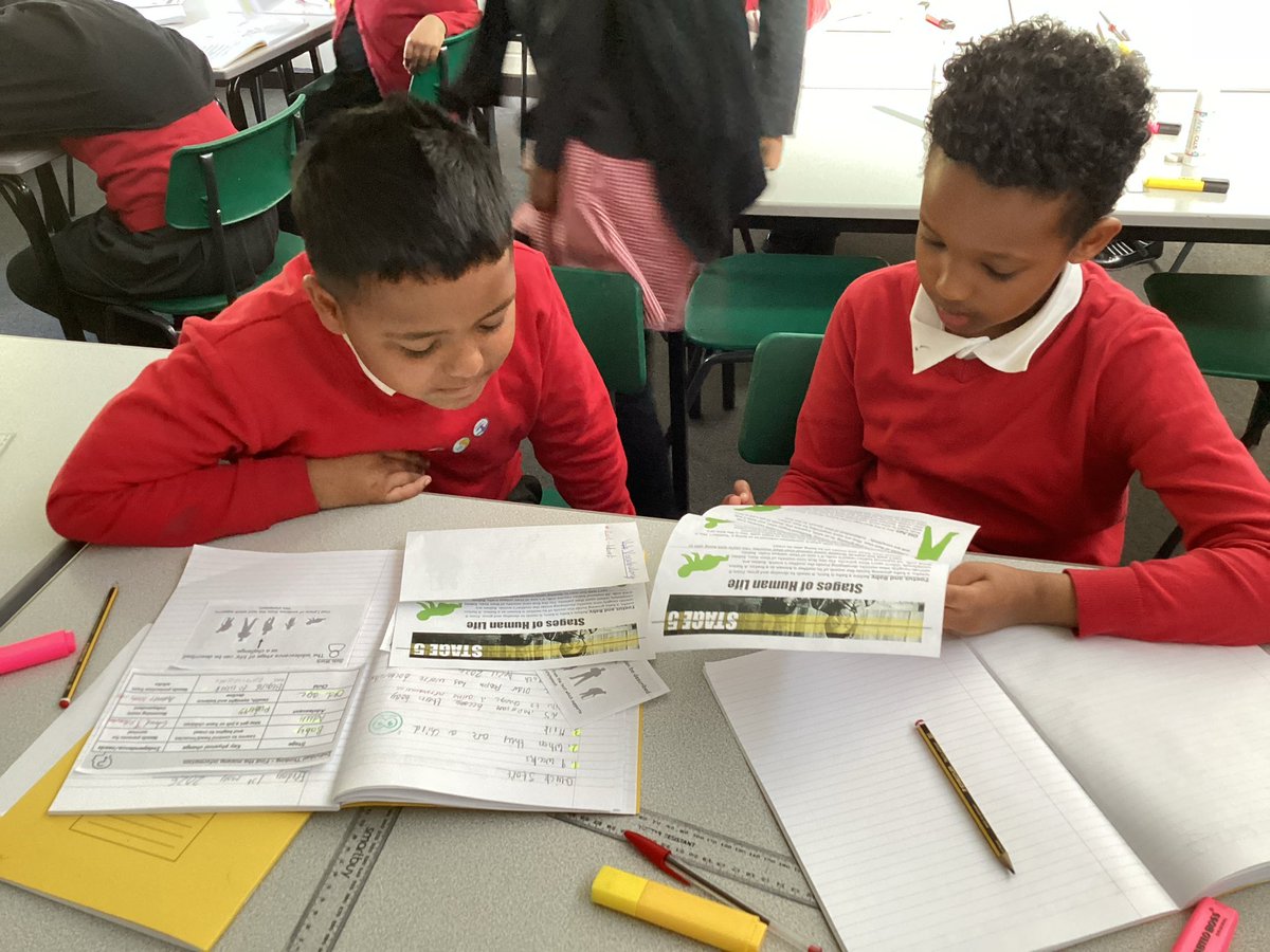 Anglesey Primary tweet media