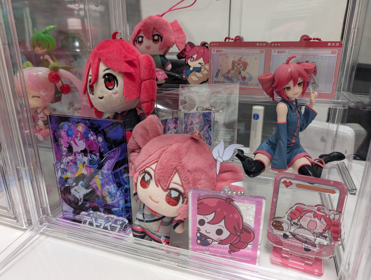 はろはろ（ねむり） NEXT ▶️🔻ＴＥＴＯ　ＬＩＶＥ　２０２６🔻 tweet media