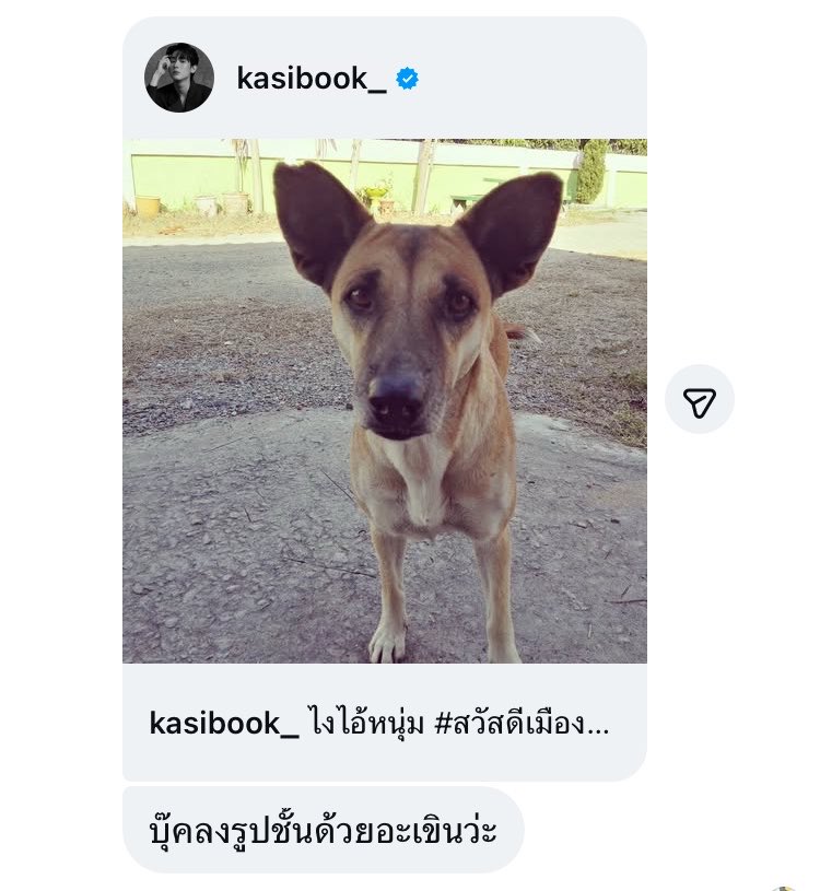 bonbon 🐰 tweet media