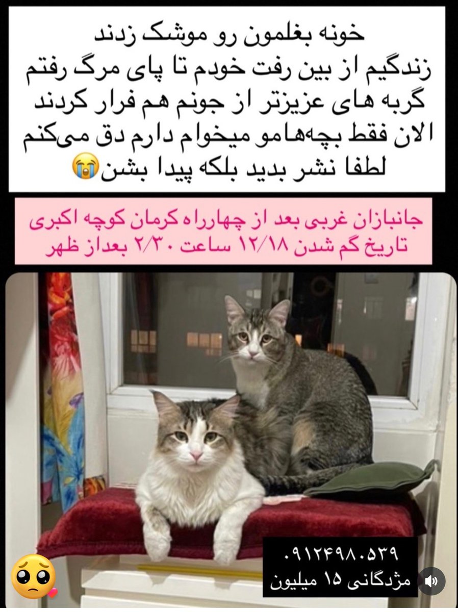 The Jal tweet media