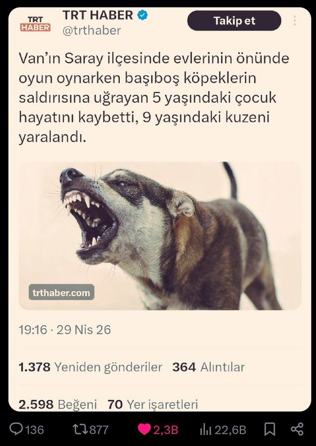 X dünya tweet media