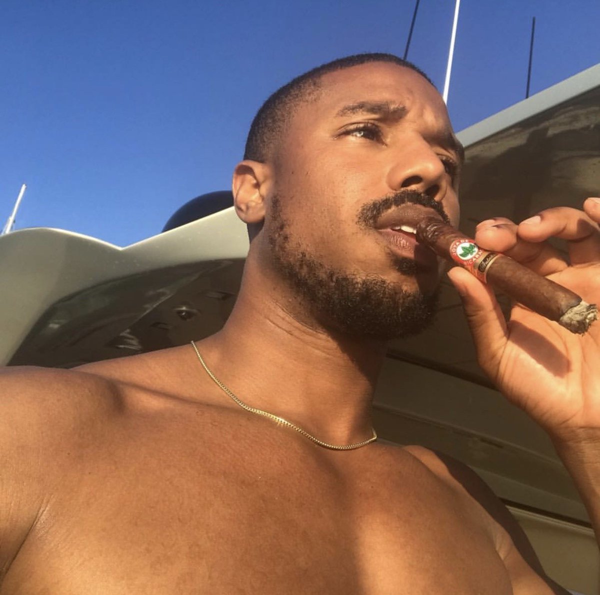 Hourly Michael B Jordan tweet media