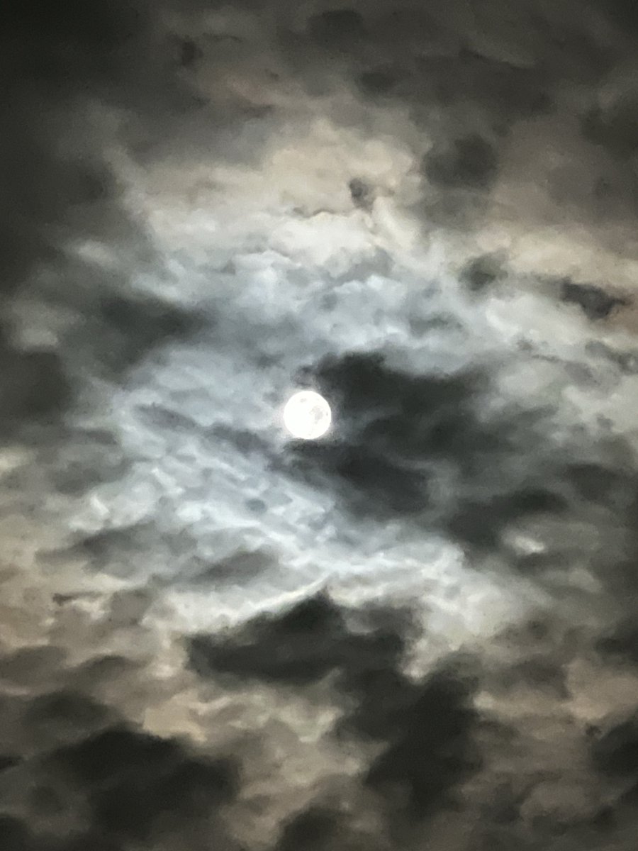 2026年5月は満月が2回なのですねー🌕
昨日のフラワームーンは撮れなかったんだが
写真におさめるのなかなか難しや