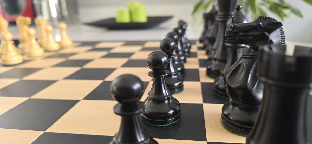 catandthecrow's tweet image. It's massive and I love it.

#Chess #PawnHub