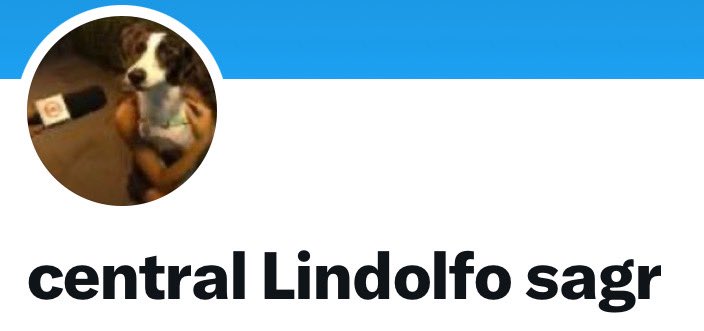Genital de Pombo (@genitaldepombo) on Twitter photo 