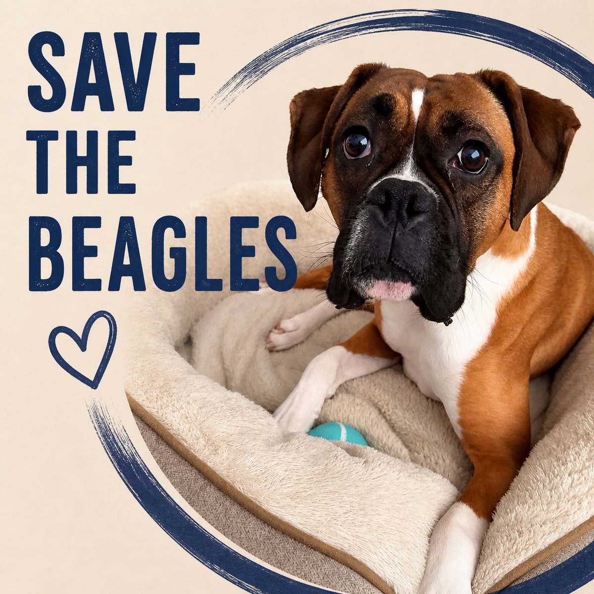 🚨 1,500 beagles need help… and we’re not sitting this one out.

After seeing the update from Beagle Freedom Project, we’re stepping up.

For a 24 hours, we are DOUBLING our donation percentage to help support the Ridglan beagles rescue. That’s 10%!! 

Let’s show up for them.