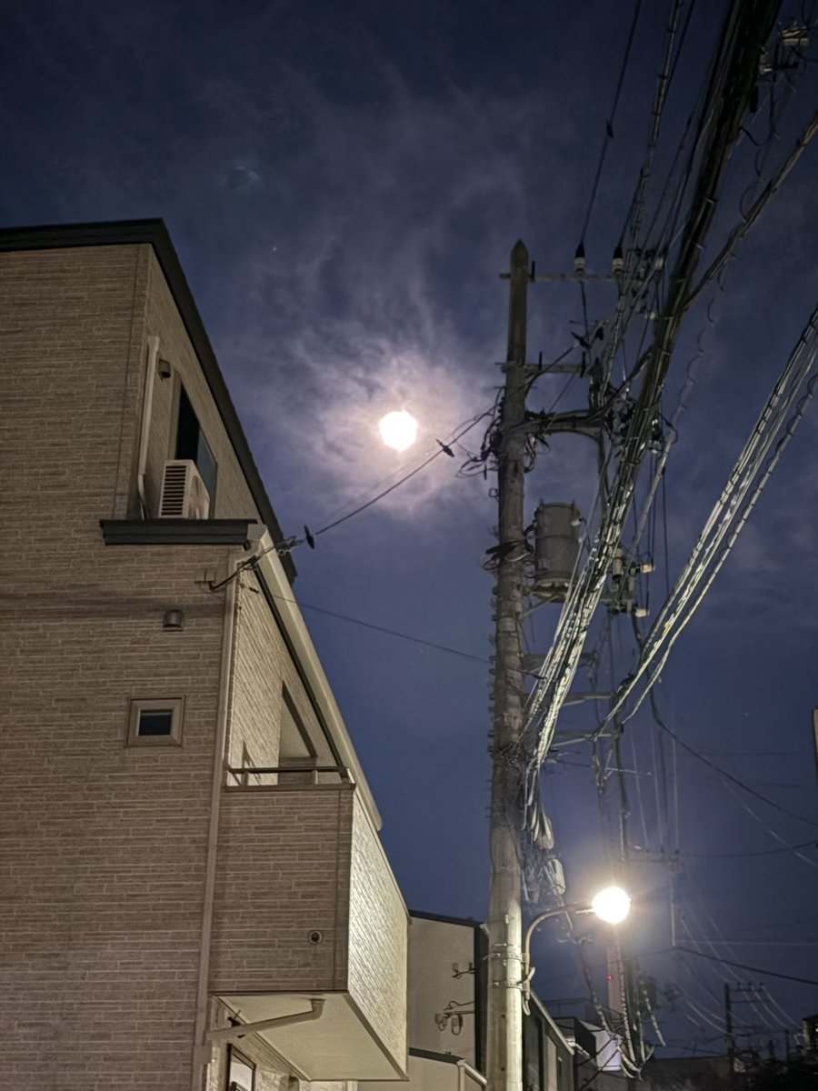 期待以上に熱く盛り上がってくださった観客の皆様、本当にありがとうございました。
CHOPでのワンマンも、FUKURO様とのツーマンも最高でした。
またお会う日を、心から待ち望んでいます。