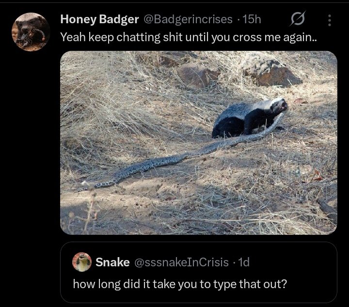 Manuel Lan tweet media