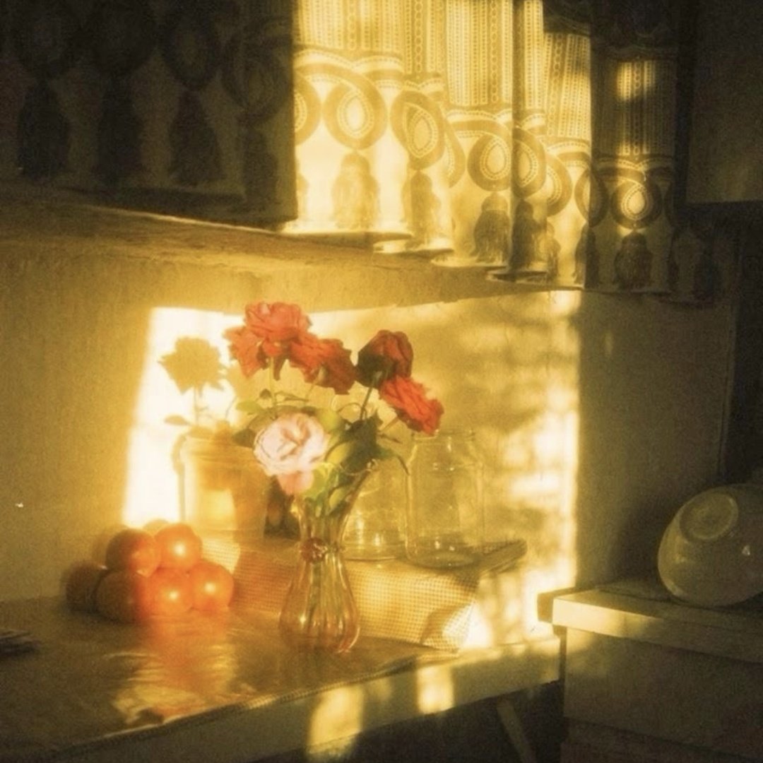 Bea | archive tweet media