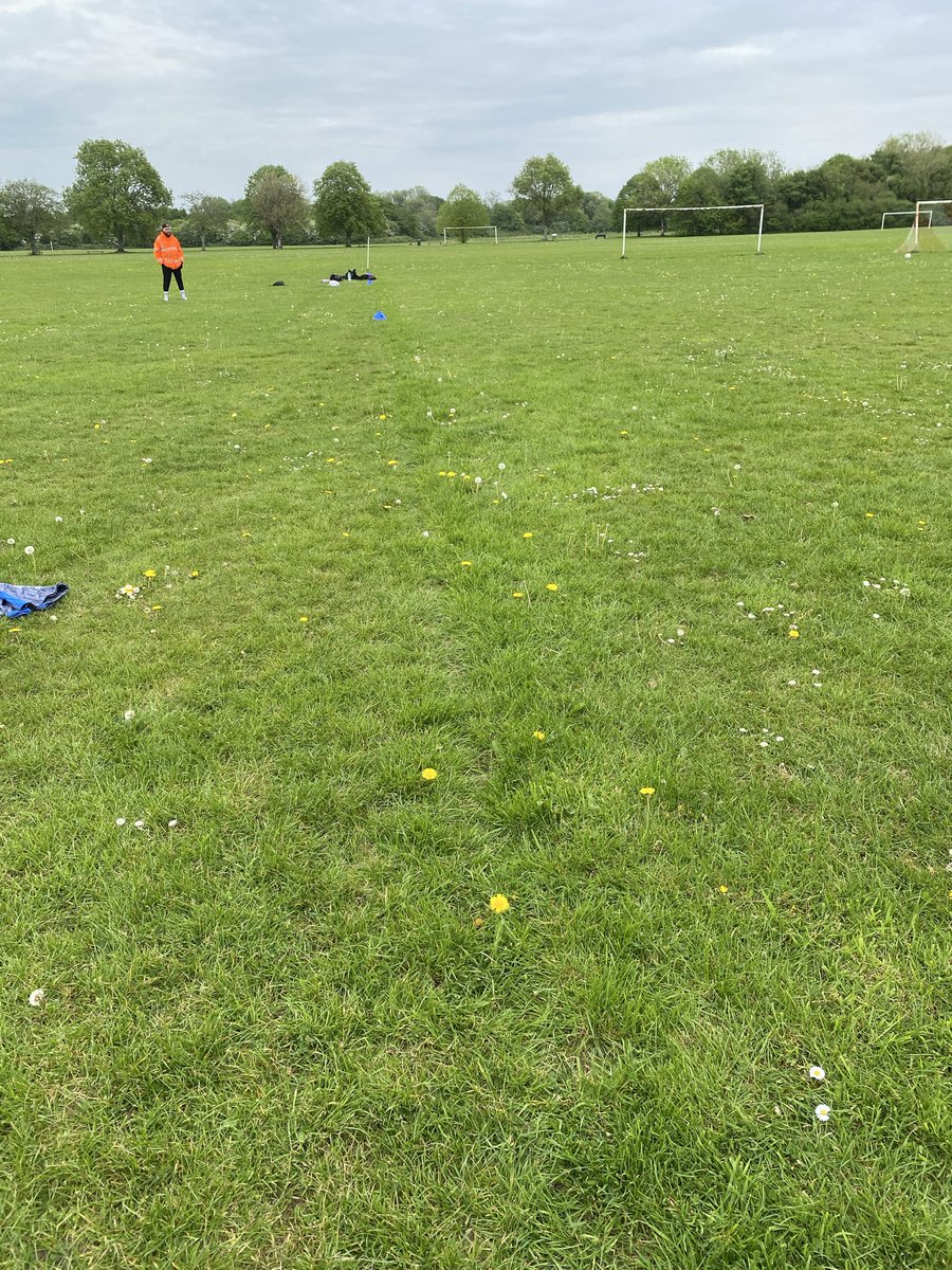 Grassroots Football tweet media