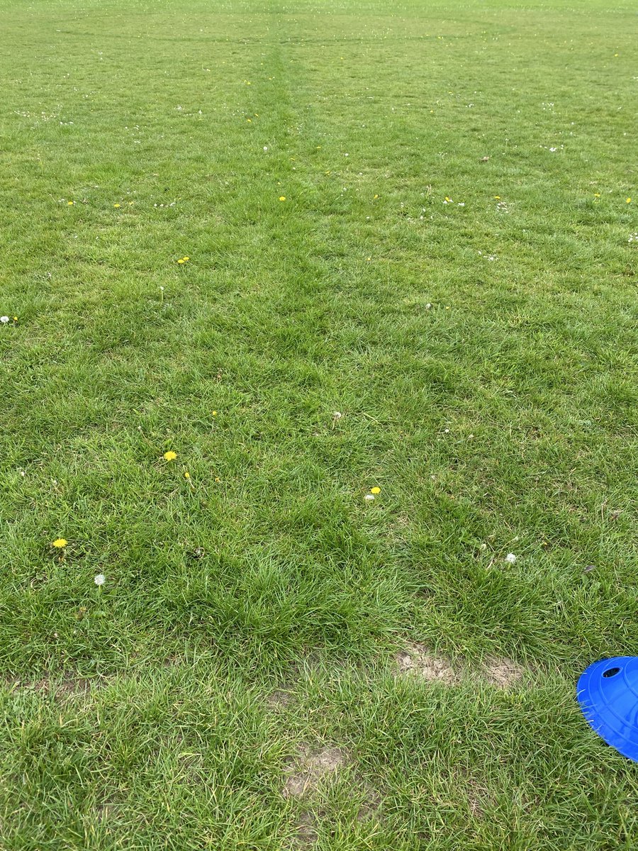 Grassroots Football tweet media