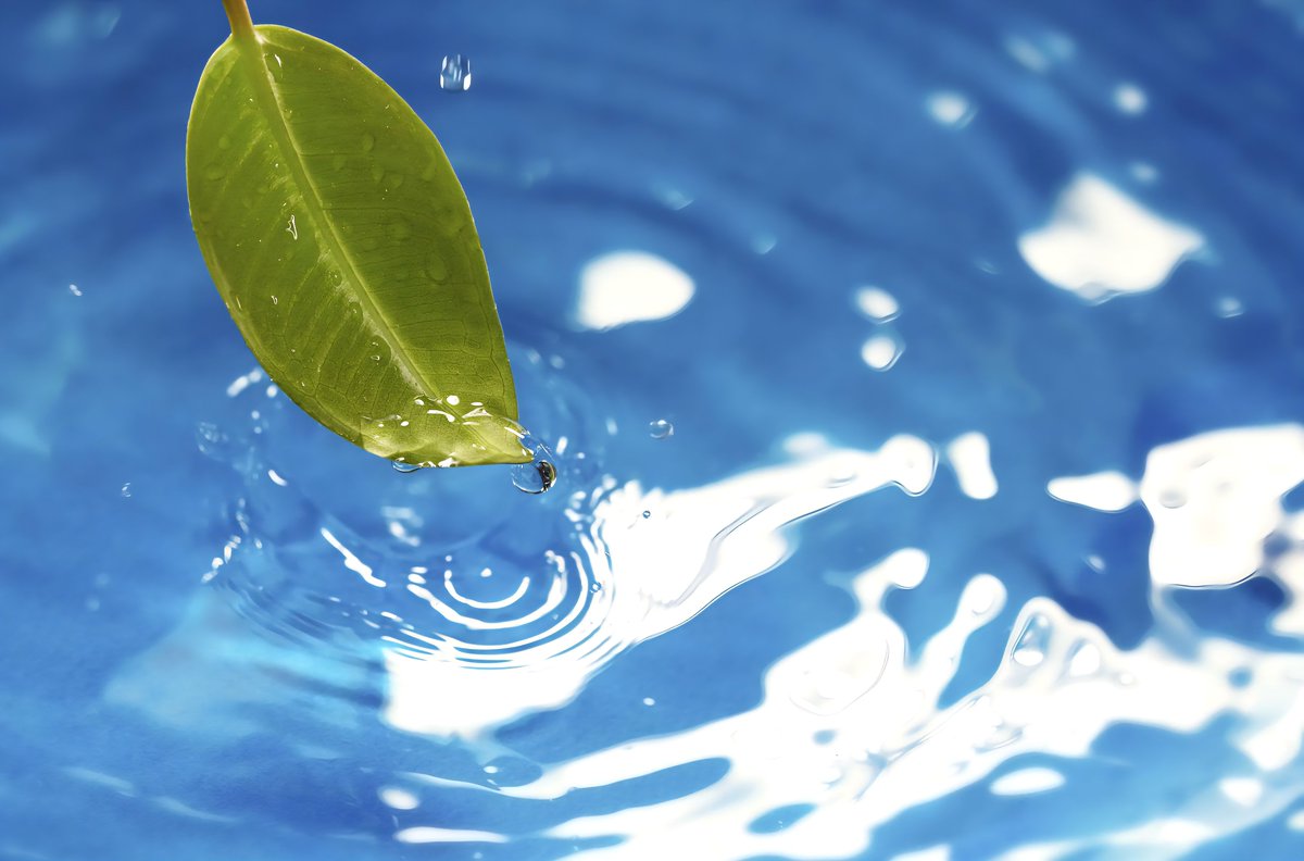 EcoTech2026's tweet image. Sometimes the most powerful solutions are the simplest ones.

#EcoTech #EcoDrop #Simplicity