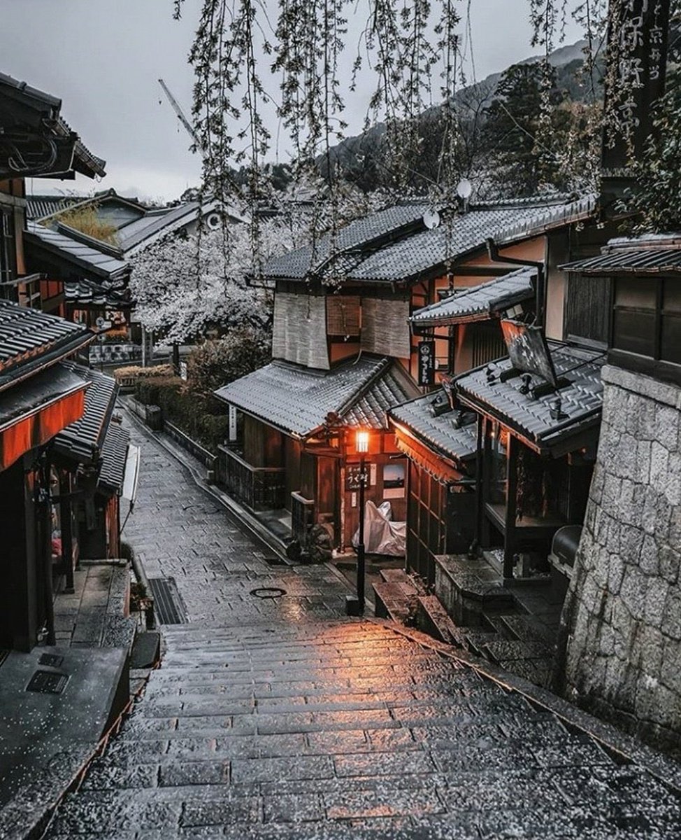 — after the rain In Kyoto 🌧️