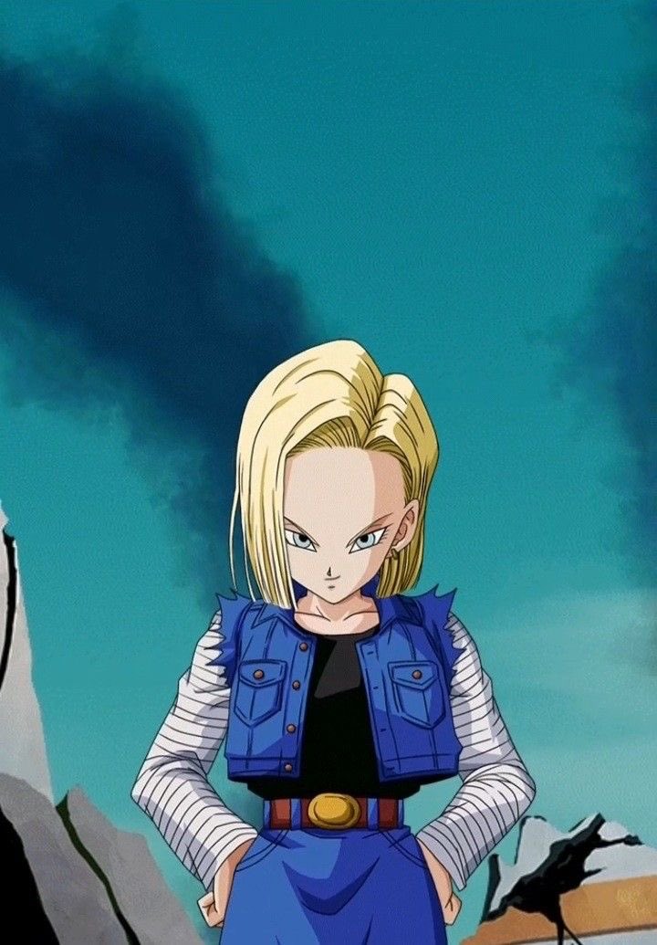 Daily Android 18 tweet media
