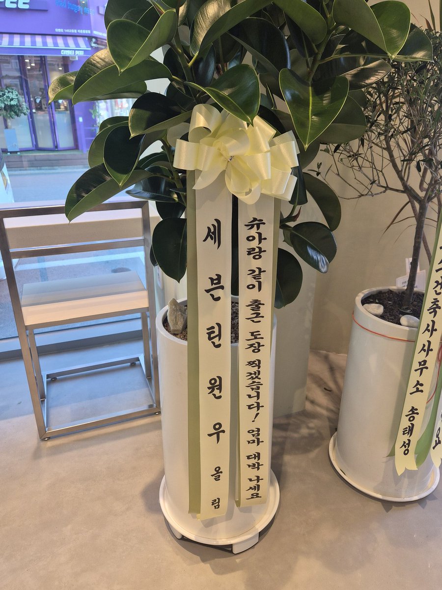 Jeon Wonwoo Updates Br tweet media