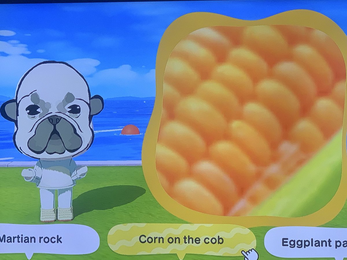 JazzToaster's tweet photo. My name Pibble, guess my zoomed in items https://t.co/CrImhOJ3xC