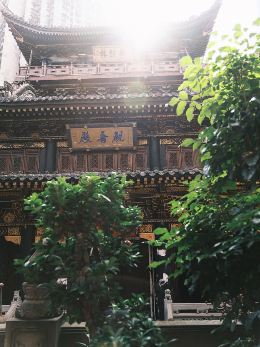 NatureRoot88's tweet photo. Luohan Temple, Chongqing China 🇨🇳 https://t.co/uFp4F9xeTB